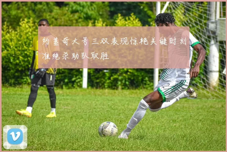 约基奇大号三双表现惊艳关键时刻准绝杀助队取胜